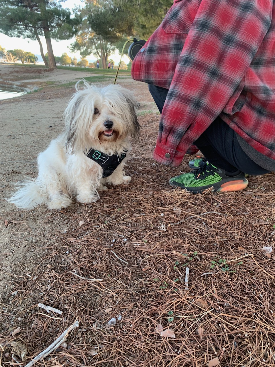 Kobe at the duck park