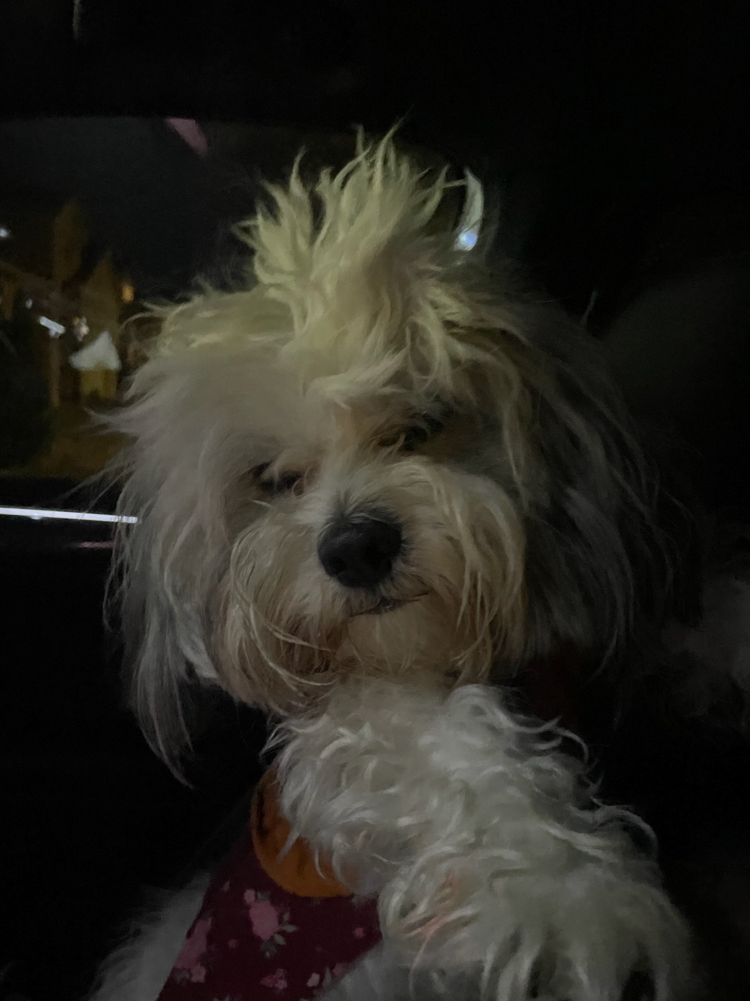 Kobe having an awesome hair day