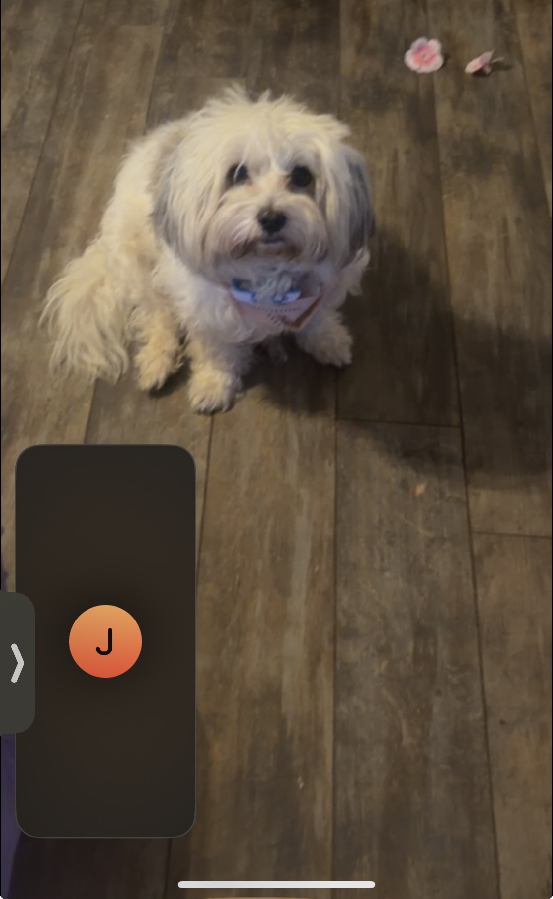 Kobe on facetime